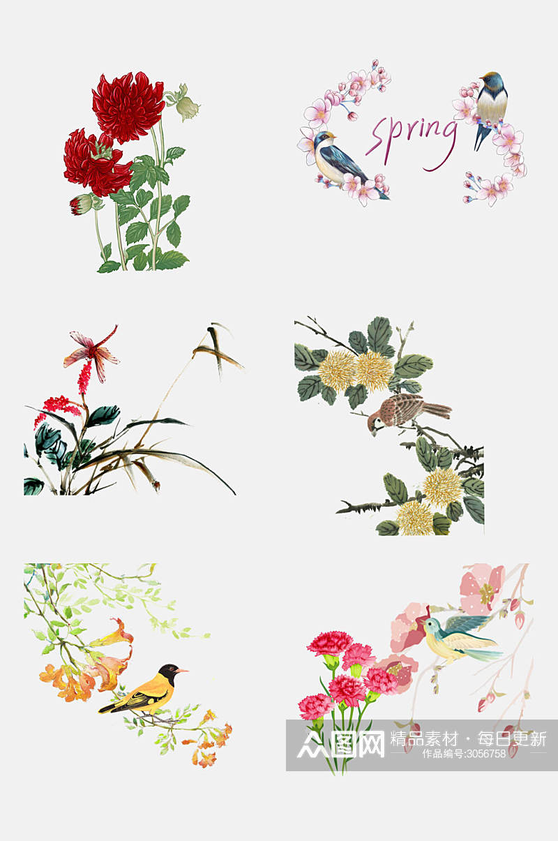 花鸟动植物手绘免抠素材素材