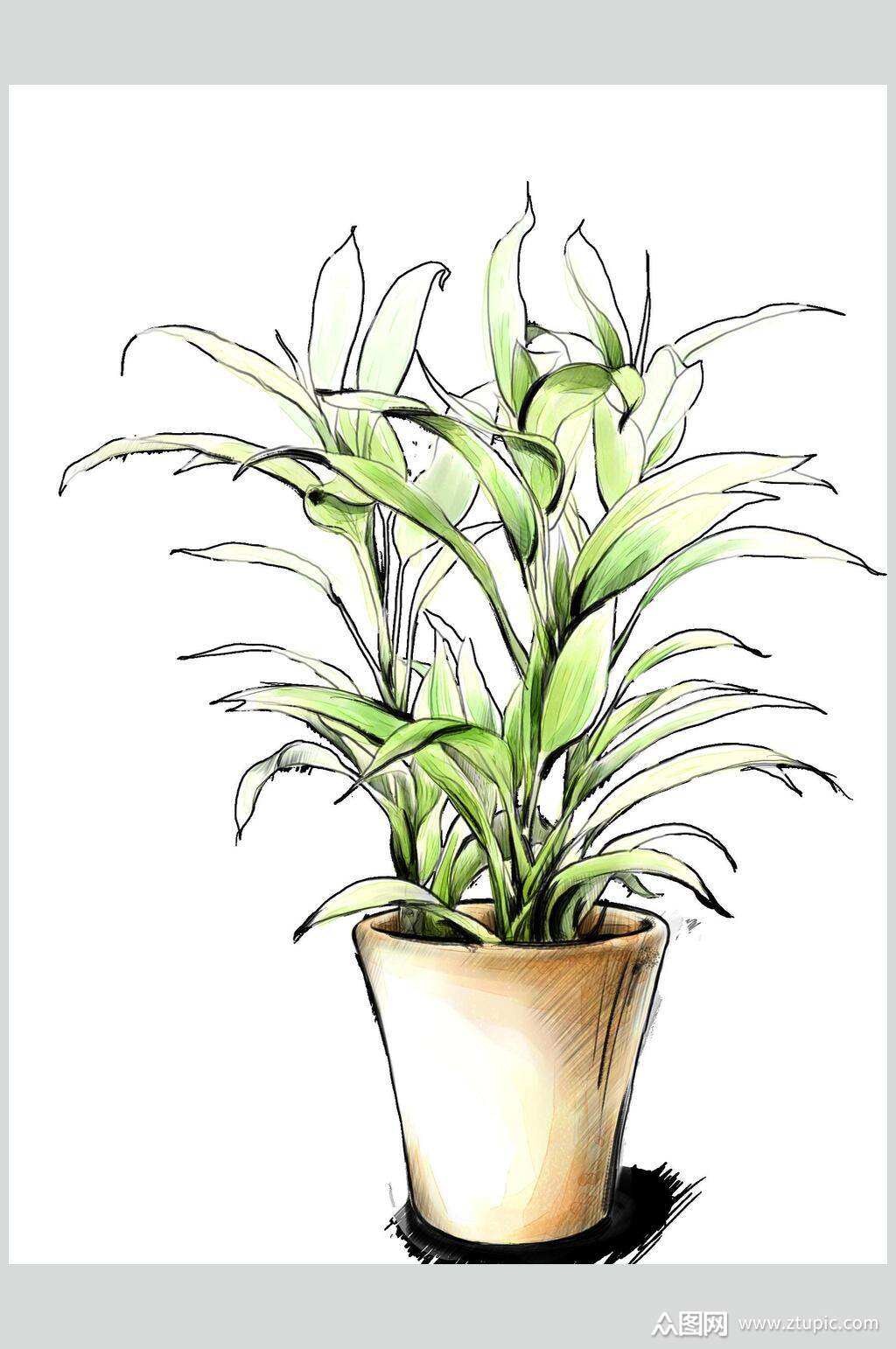 水彩盆栽绿色植物手账素材素材