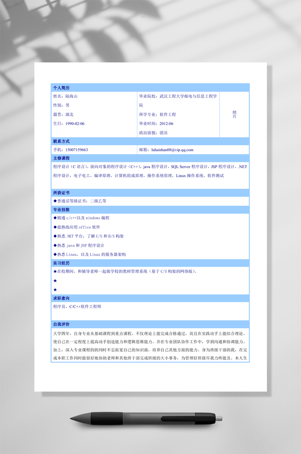 淡蓝色框架个人简历WORD模板素材