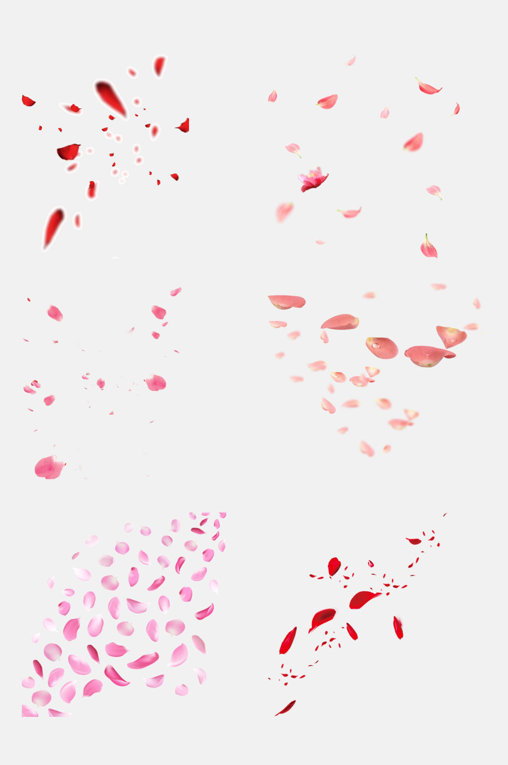 清新粉色浪漫花瓣免抠设计素材素材