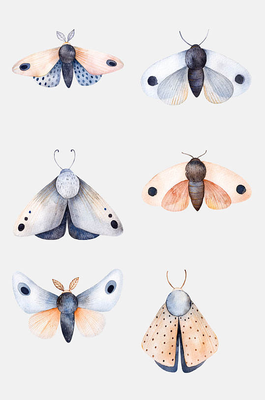水彩飞蛾植物花卉动物免抠元素