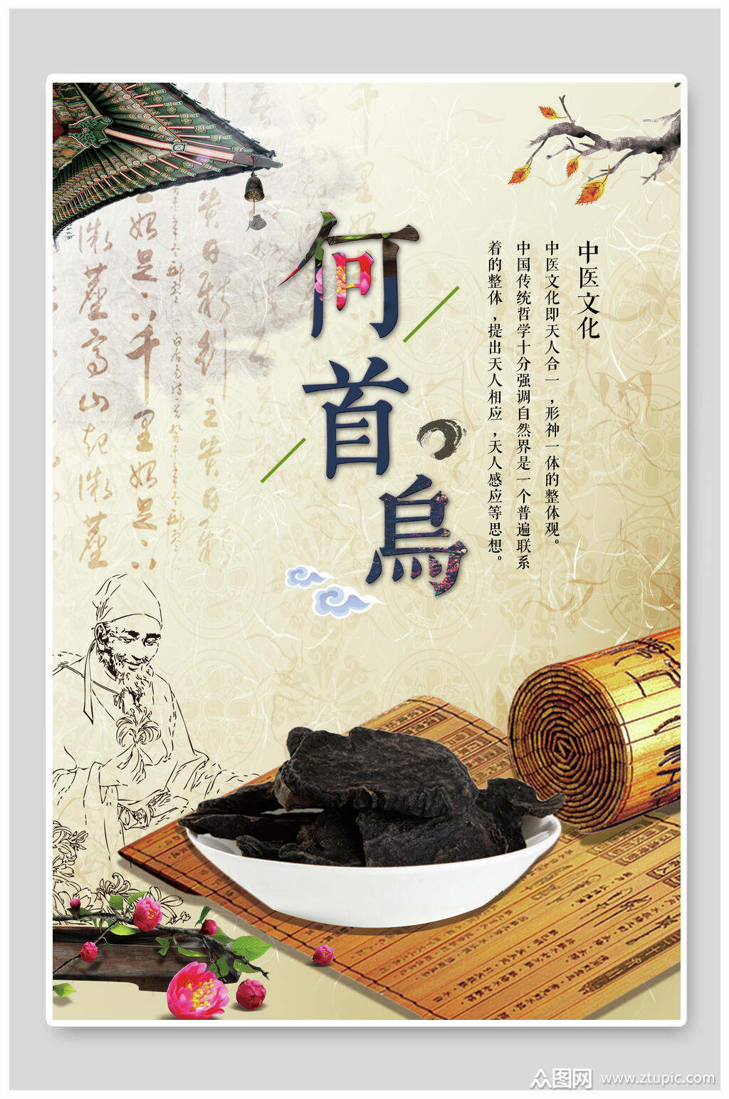 何首乌中医中药宣传海报素材