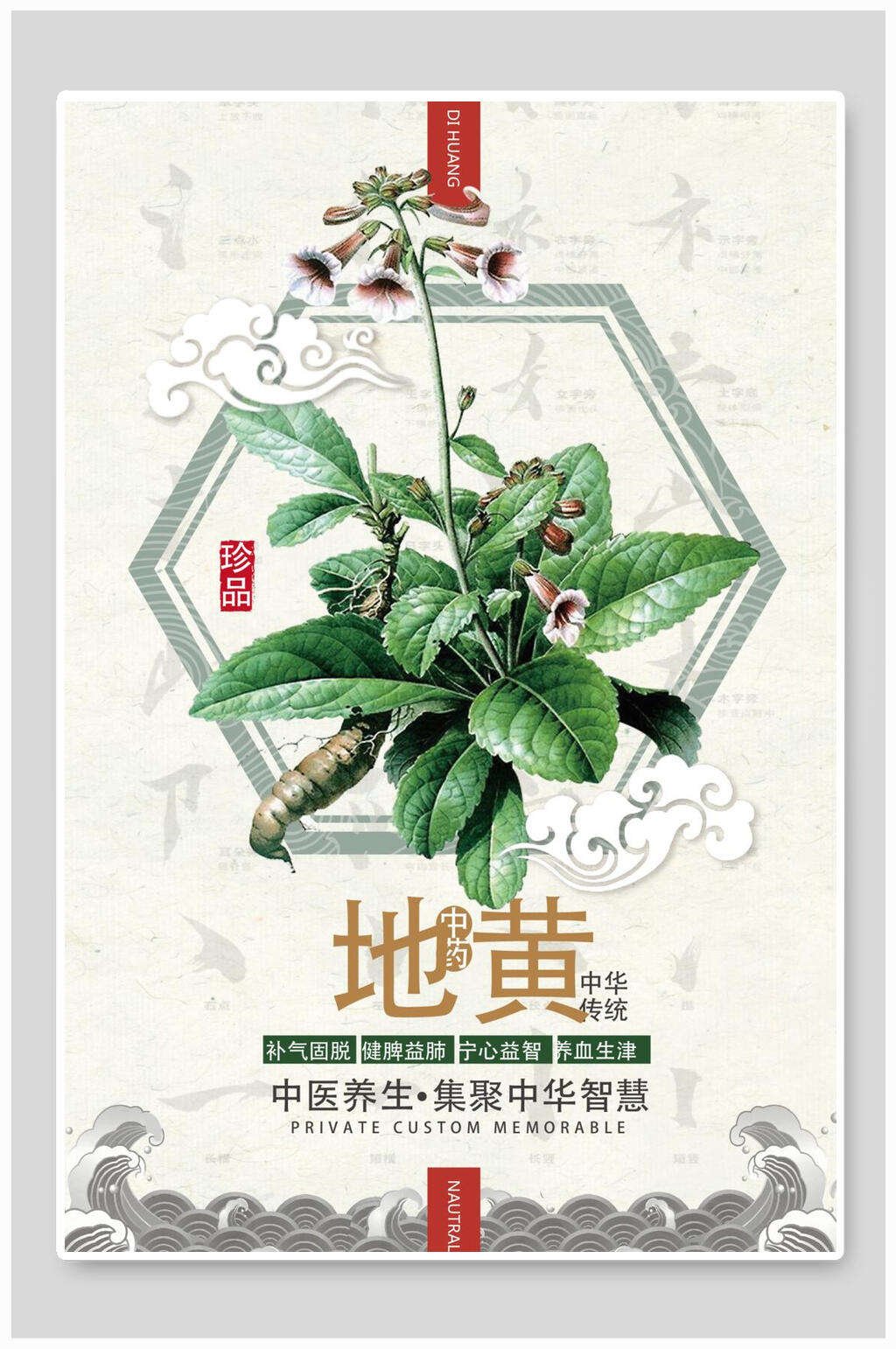 绿色植物中医养生中药海报素材