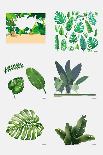 绿色热带植物叶子免抠素材