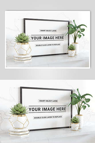 植物英文绿白高端相框装饰画样机