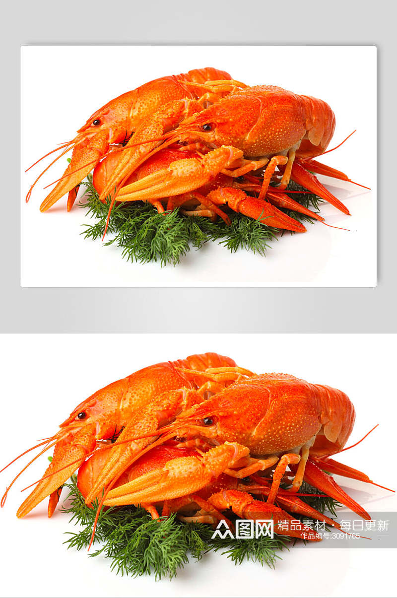 清新美味虾类海鲜图片素材