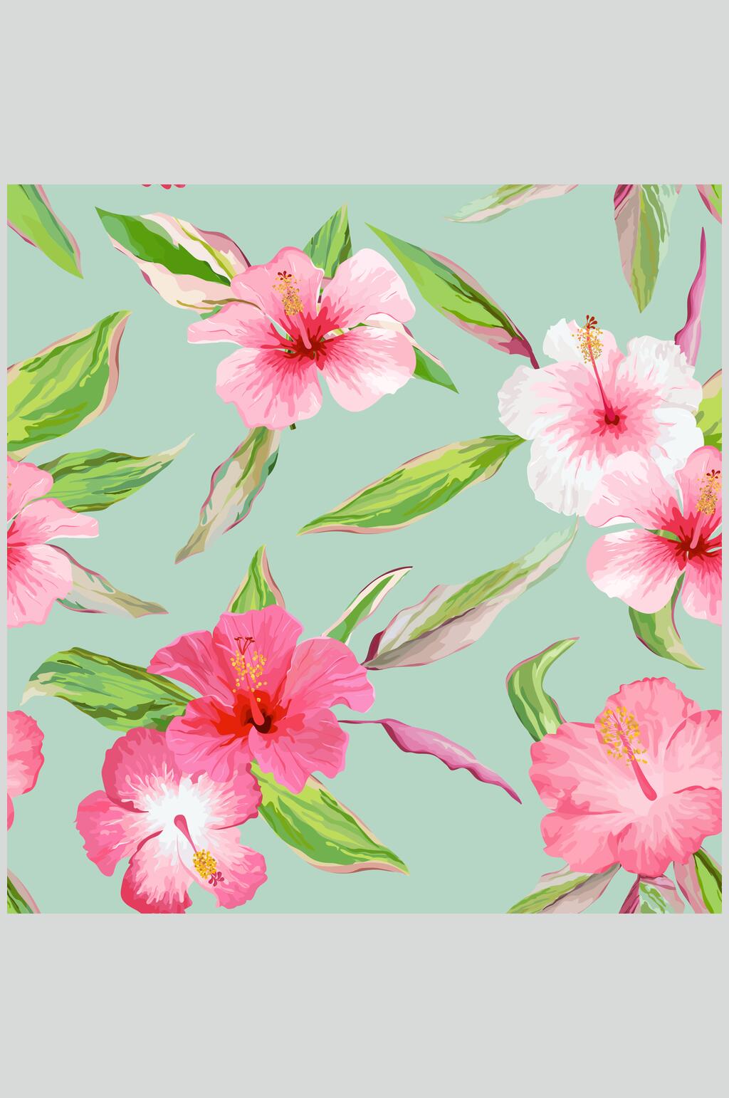 粉色花朵热带花卉水果图片素材