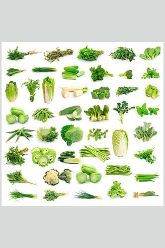 绿色有机食品青菜白底图片