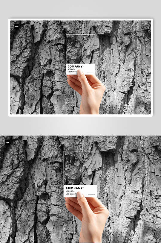 岩石裂缝手指英文拍照框架样机