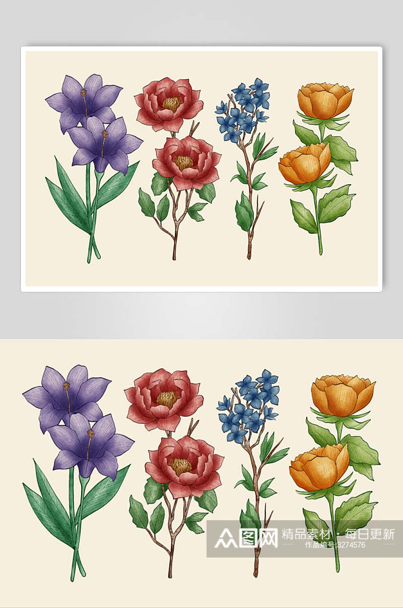 水彩手绘植物花卉矢量素材元素素材