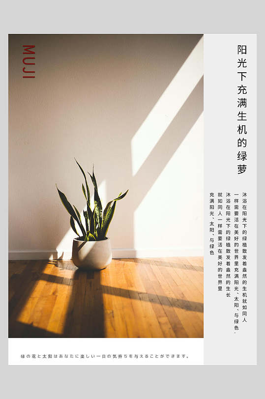 绿萝名片图片-绿萝名片设计素材-绿萝名片模板下载-众图网