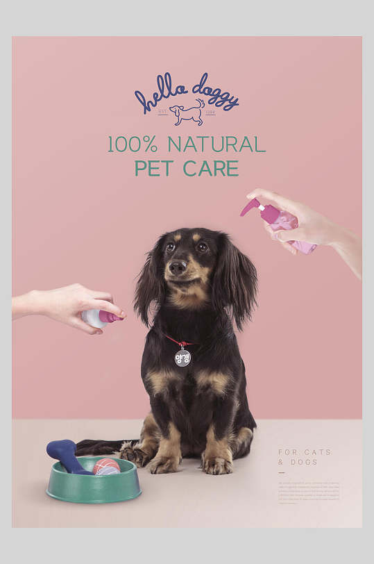 粉色清新插图高端宠物狗萌宠海报