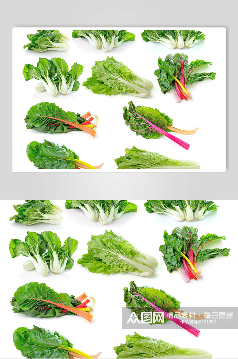 绿色有机蔬菜青菜白底食品图片素材