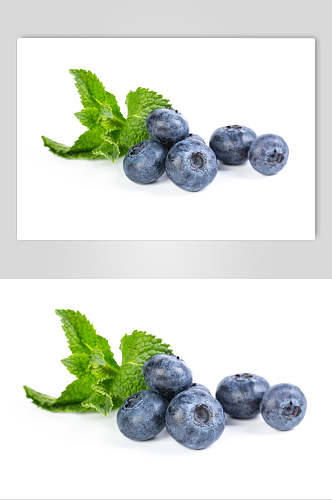 精品有机蓝莓水果高清图片