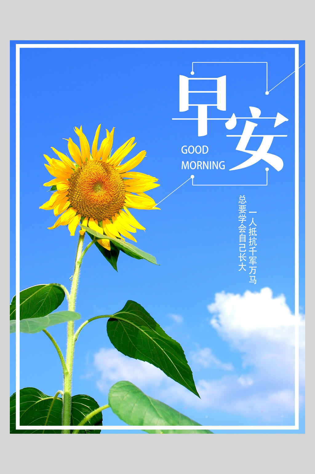 向日葵文艺清新摄影海报素材
