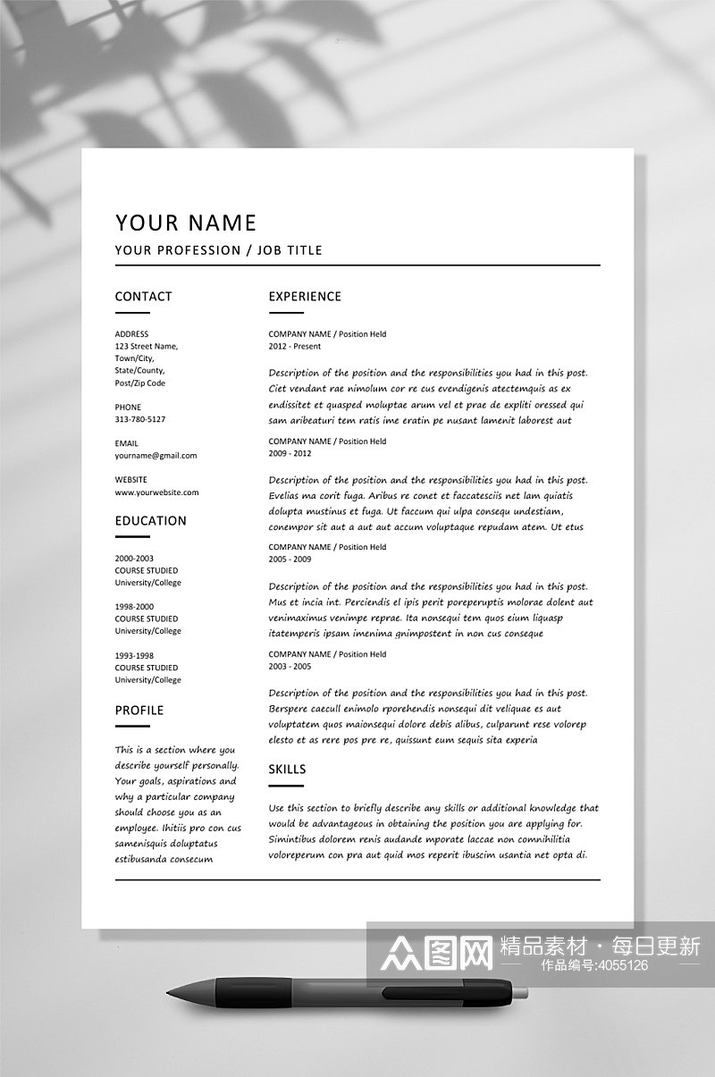 简约白国外英文简历WORD模板素材