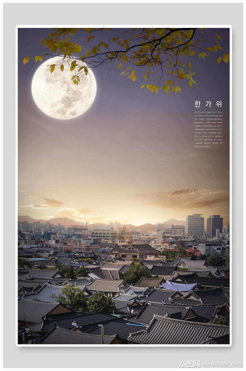 月亮中秋月圆夜晚背景