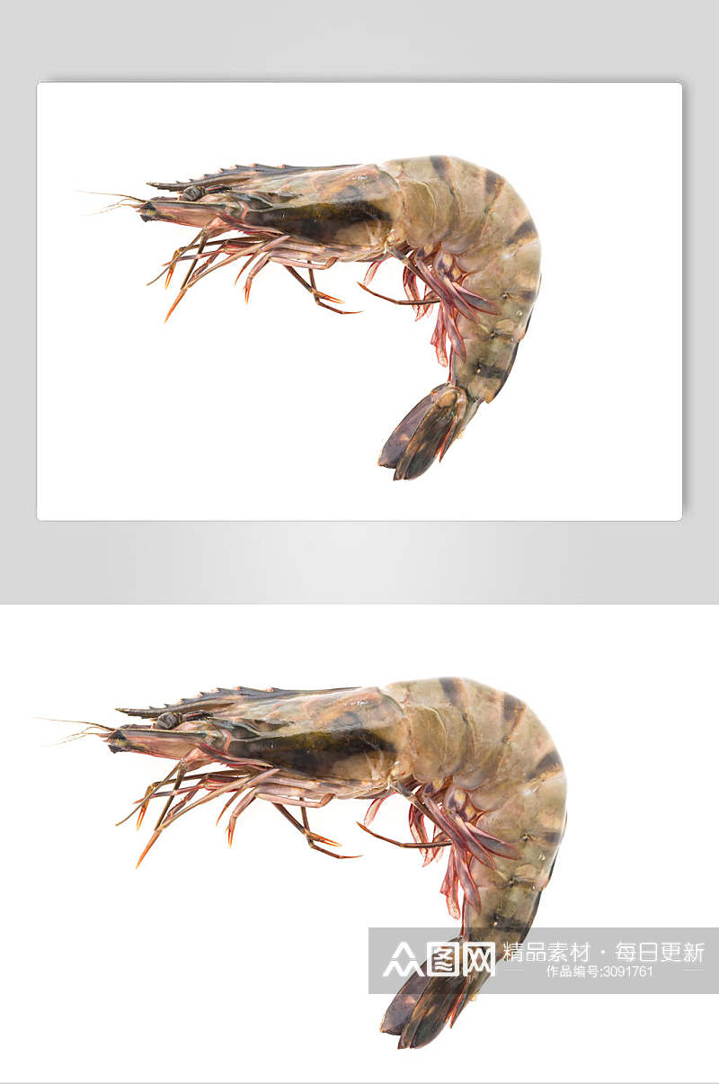 极简虾类海鲜食品图片素材