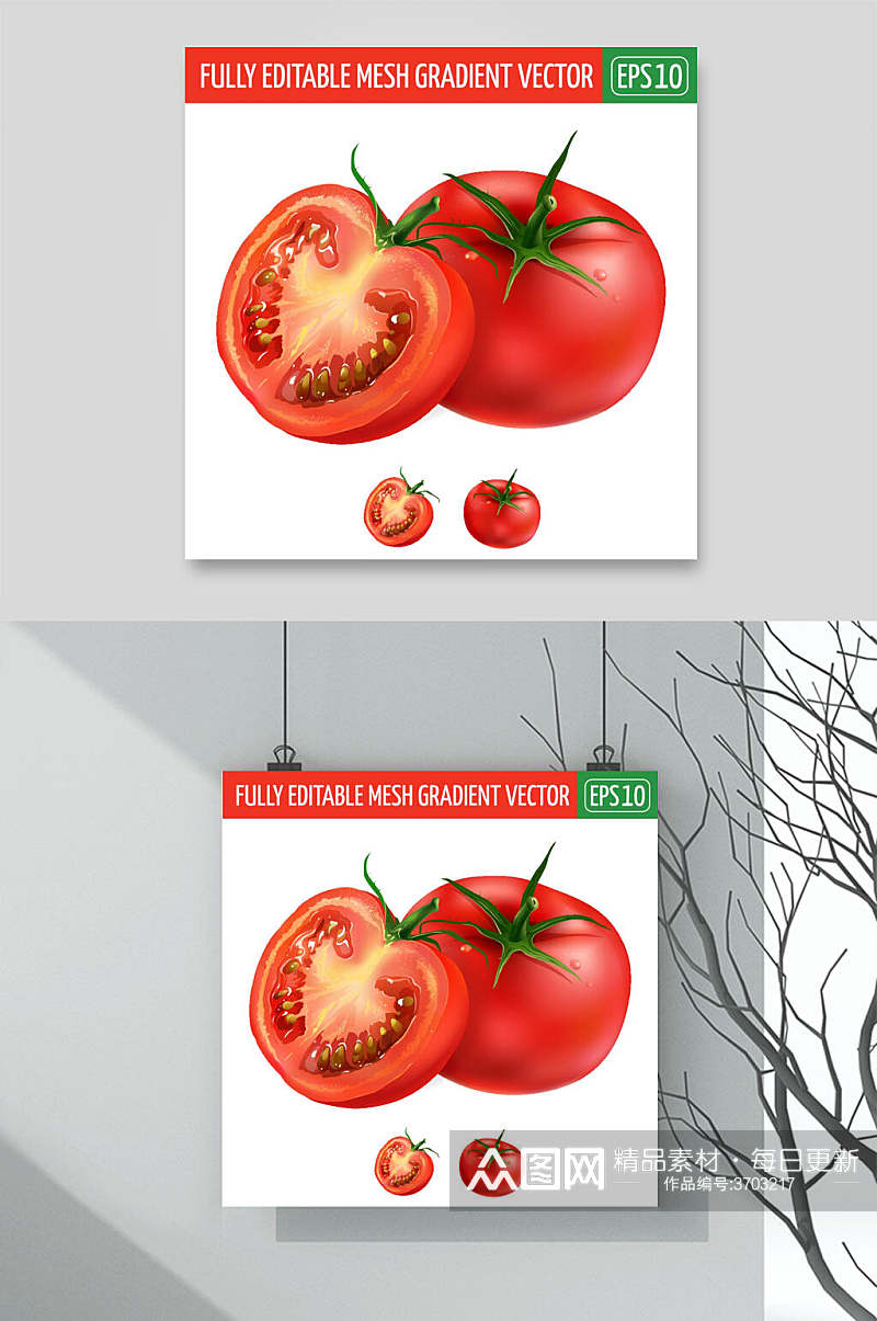 番茄水果蔬菜手绘矢量素材素材