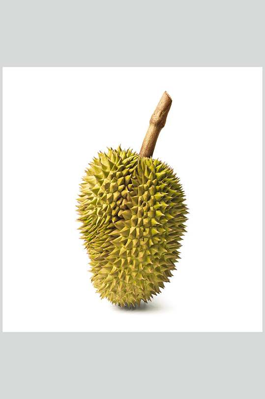 高清榴莲图片-高清榴莲素材下载-众图网