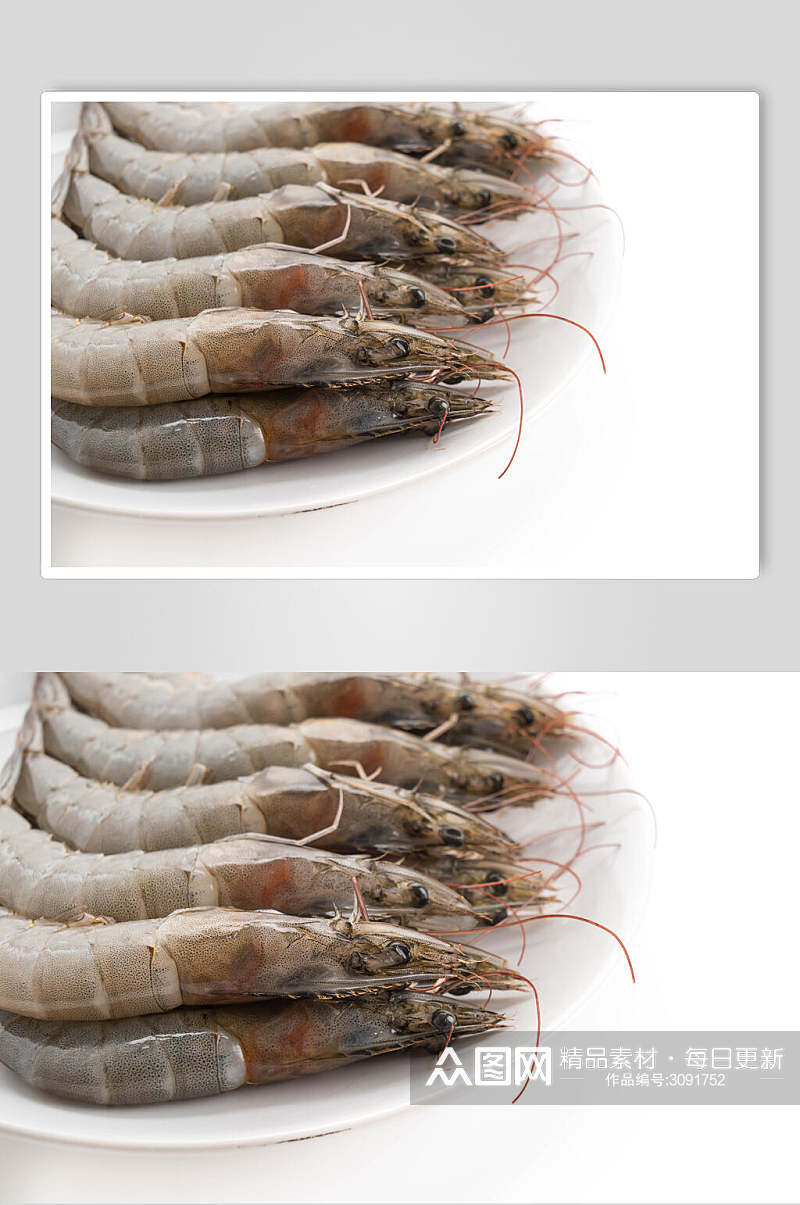 经典虾类海鲜图片素材