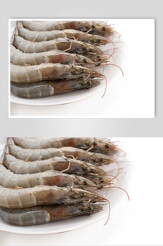 经典虾类海鲜图片