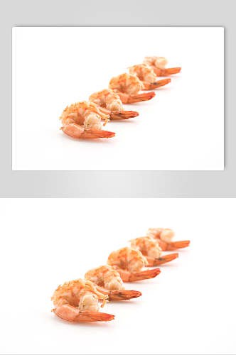 简约美味虾类海鲜图片