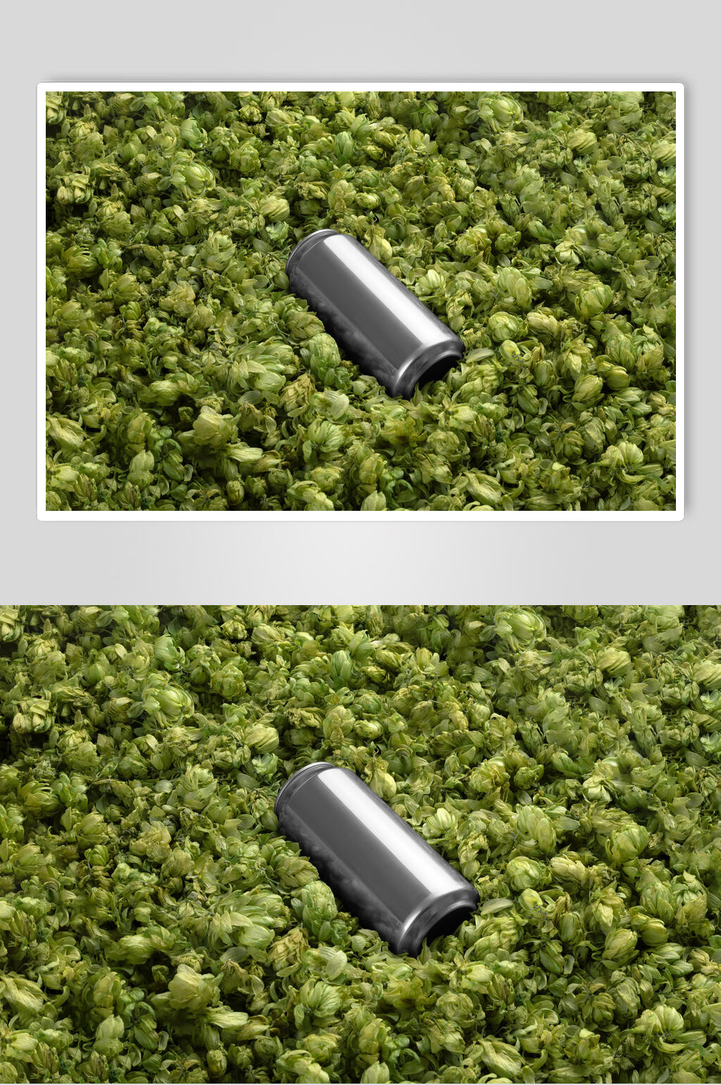 草地反光高端创意易拉罐酒瓶样机素材