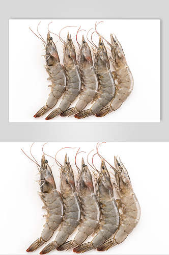 时尚美味虾类海鲜食品图片