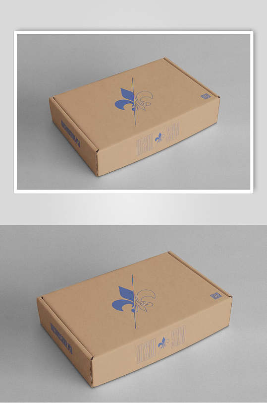 瓦楞纸盒快递包装袋纸盒包装盒展示样机