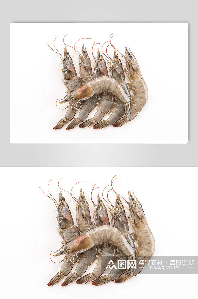 创意虾类海鲜图片素材