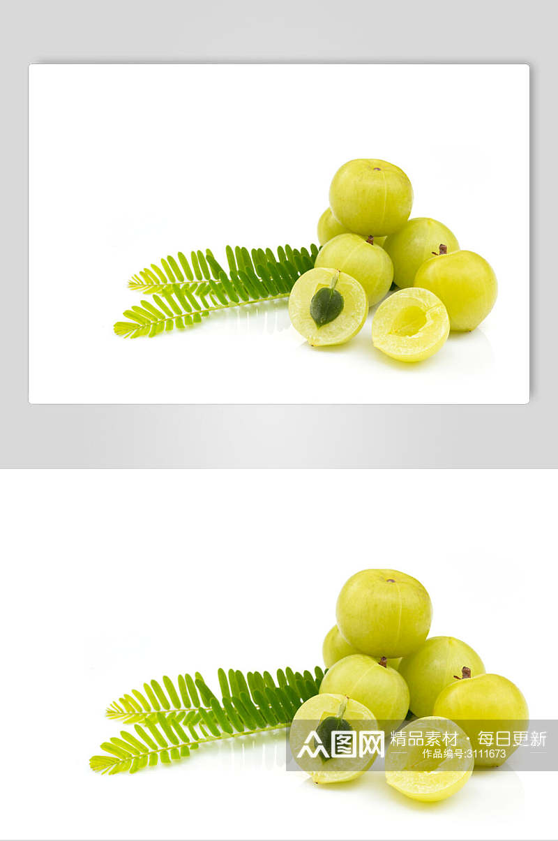 绿色生态李子美食水果高清图片素材
