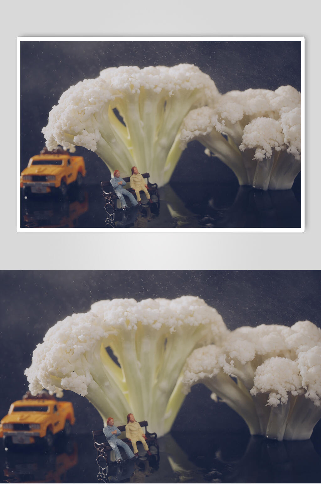 新鲜美味花菜图片素材