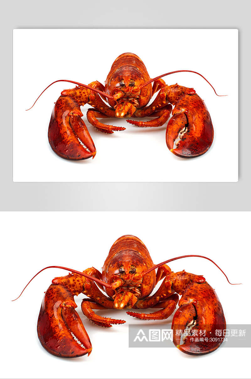 小龙虾虾类海鲜图片素材