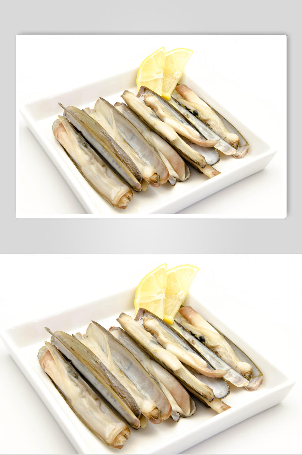 精选美味贝壳类海鲜图片素材