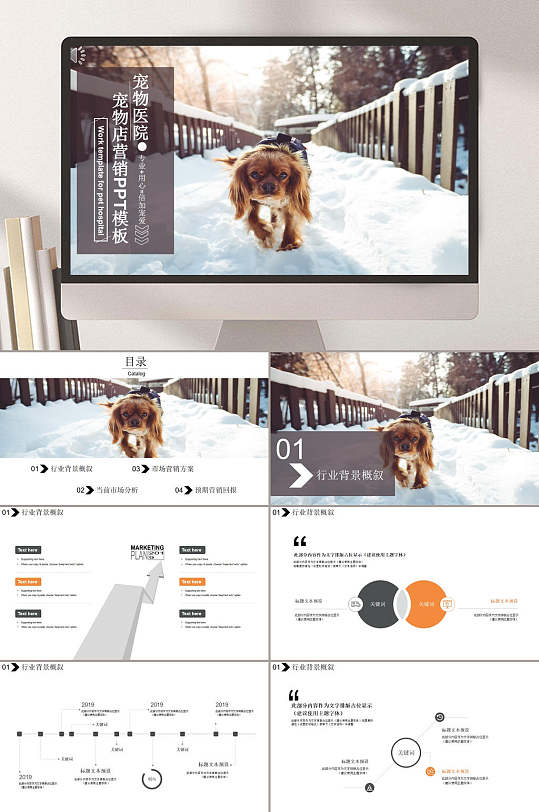宠物主题ppt狗狗