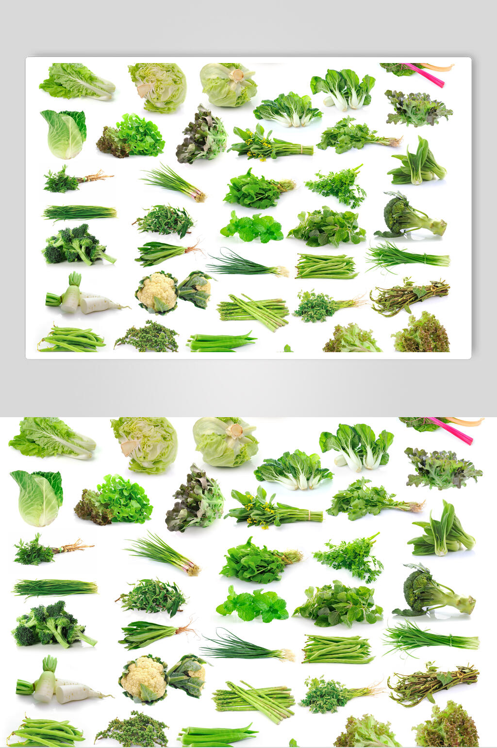 清新青菜白底食品图片素材