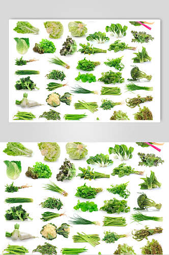 清新青菜白底食品图片