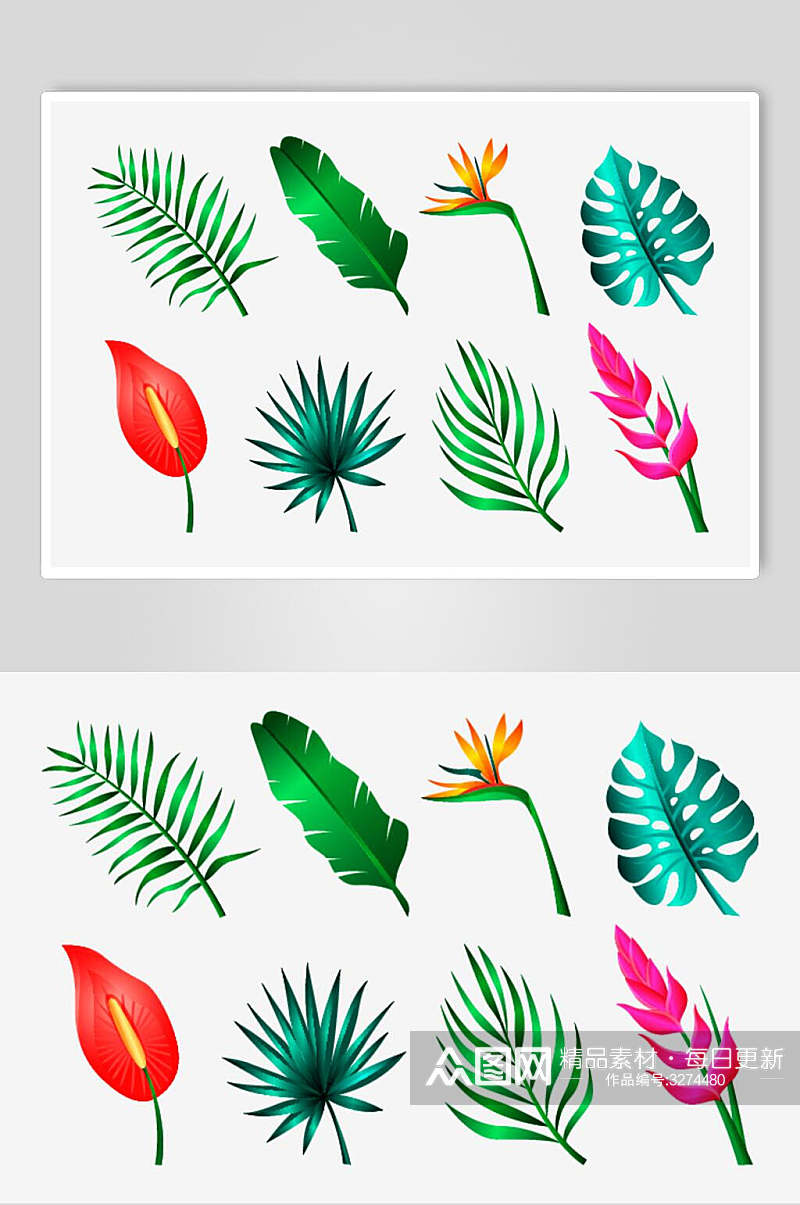 手绘植物叶子花卉矢量素材素材