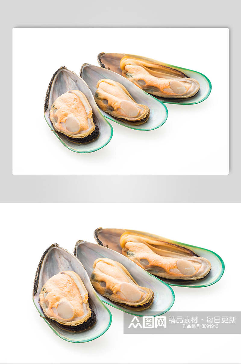 清新白底贝壳类海鲜图片素材