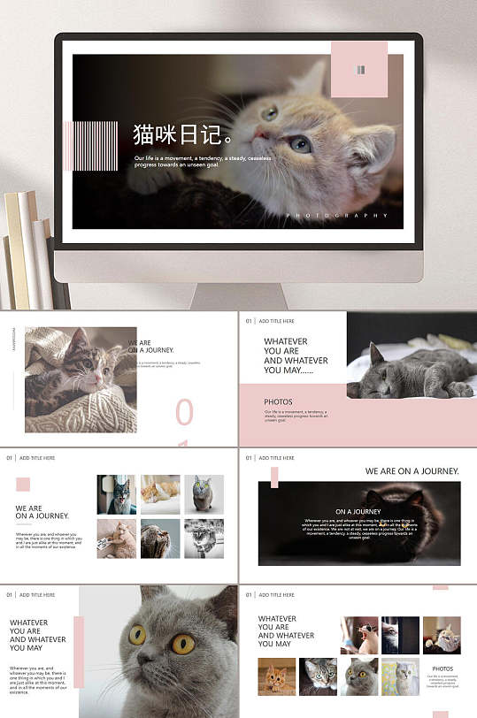 宠物主题ppt猫咪