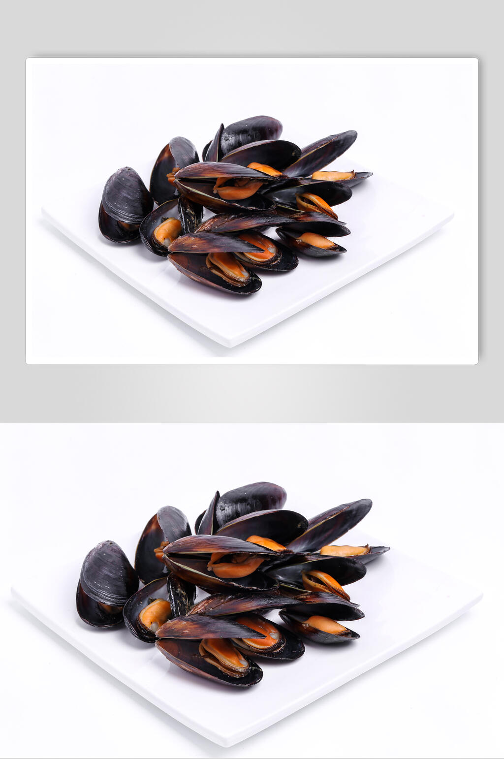 精品贝壳类海鲜图片素材