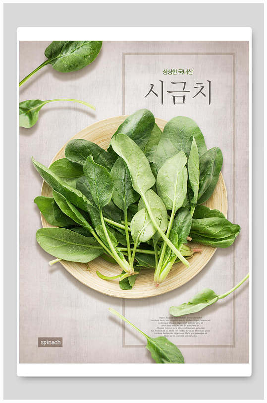 菠菜生鲜美食海报
