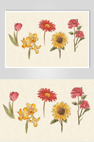 手绘植物鲜花花卉矢量设计素材