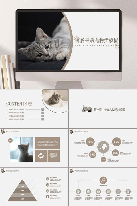 宠物主题ppt猫咪