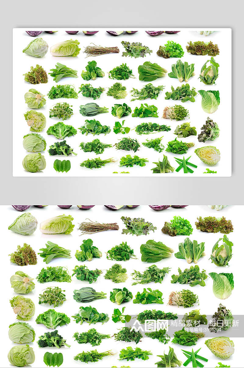 绿色有机食品青菜白底图片素材