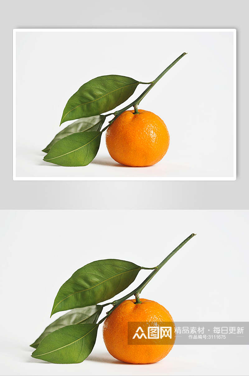 绿色生态橘子美食水果高清图片素材