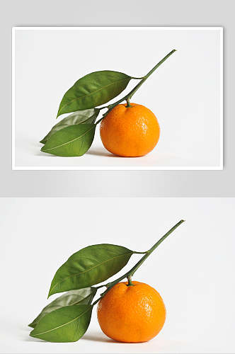绿色生态橘子美食水果高清图片
