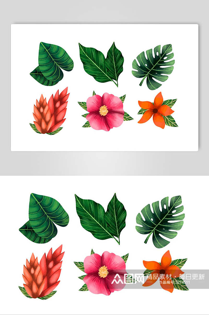 白底手绘热带植物花卉矢量设计素材素材