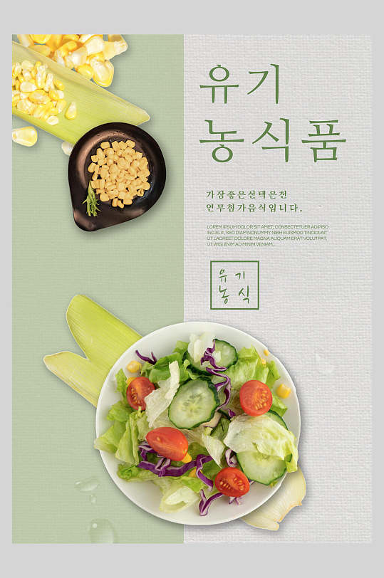 时尚插图清新蔬菜轻食健康饮食海报